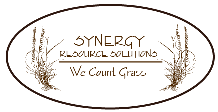 Synergy Resource Solutions